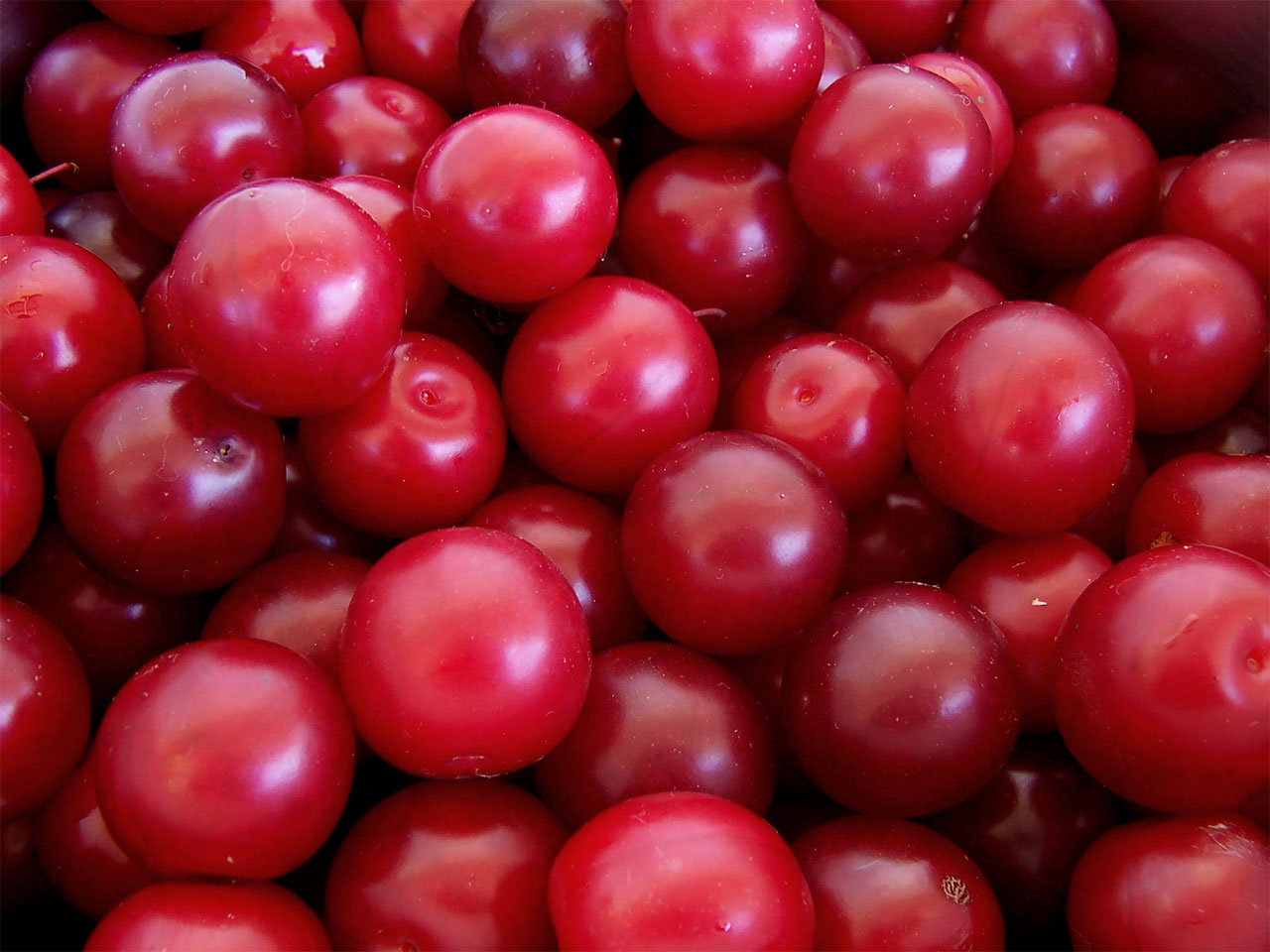 Cherry plums