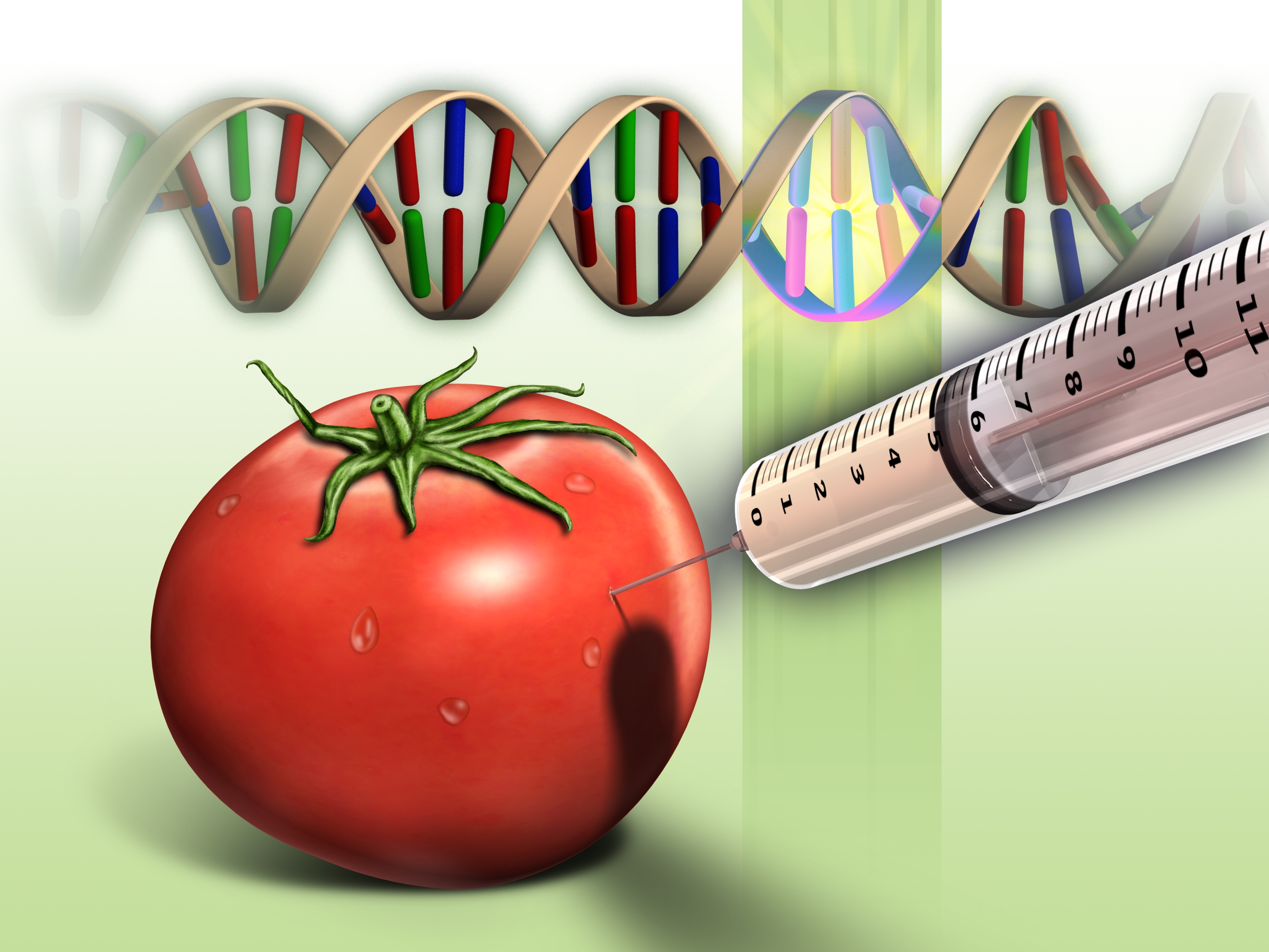 Genetically modified organisms