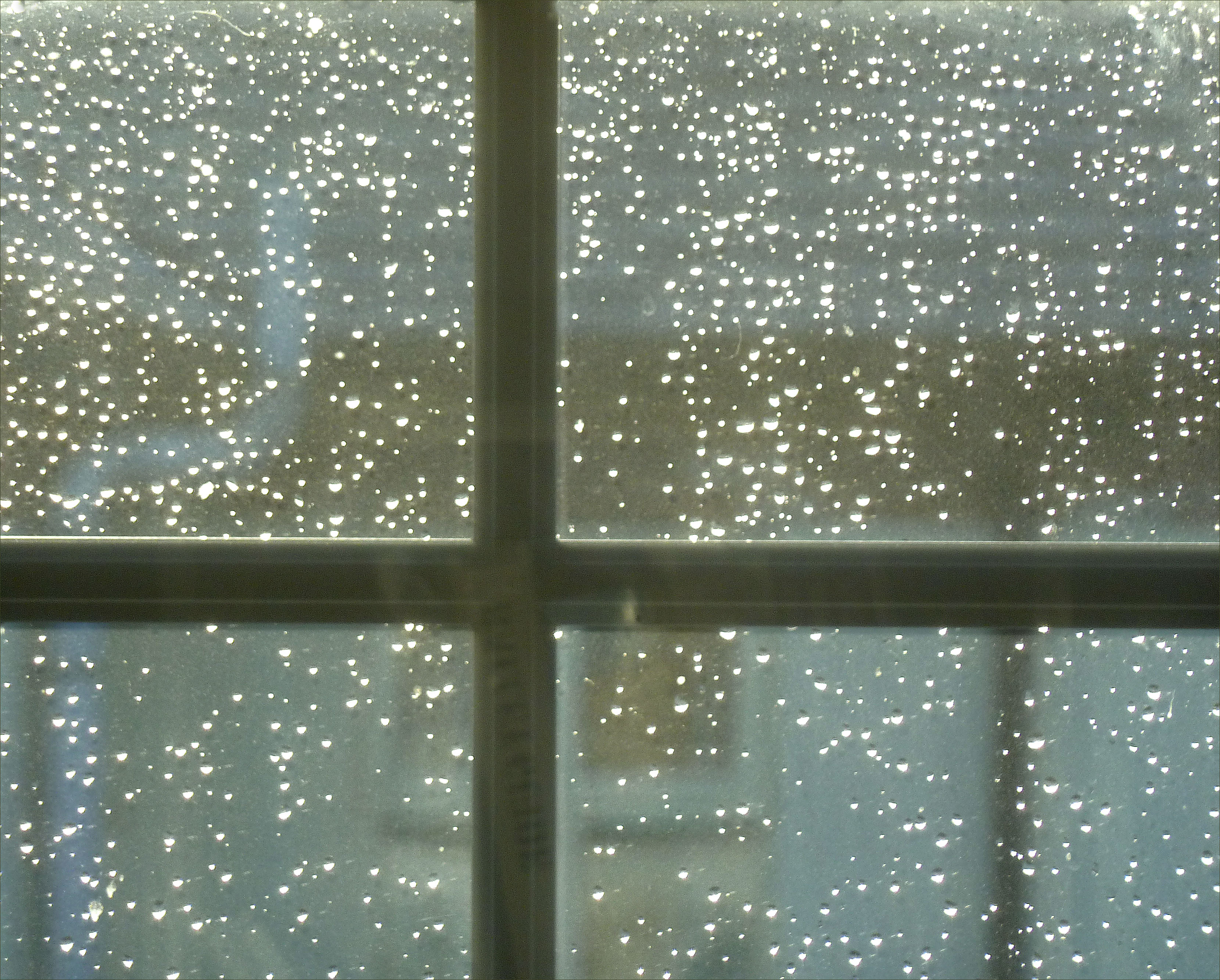 Rain on window